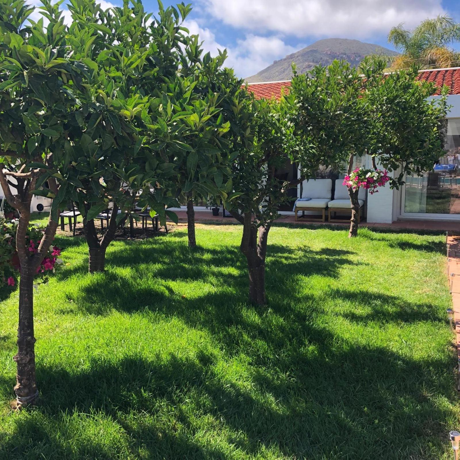 Villa Ribaudo Relax Mondello Dış mekan fotoğraf